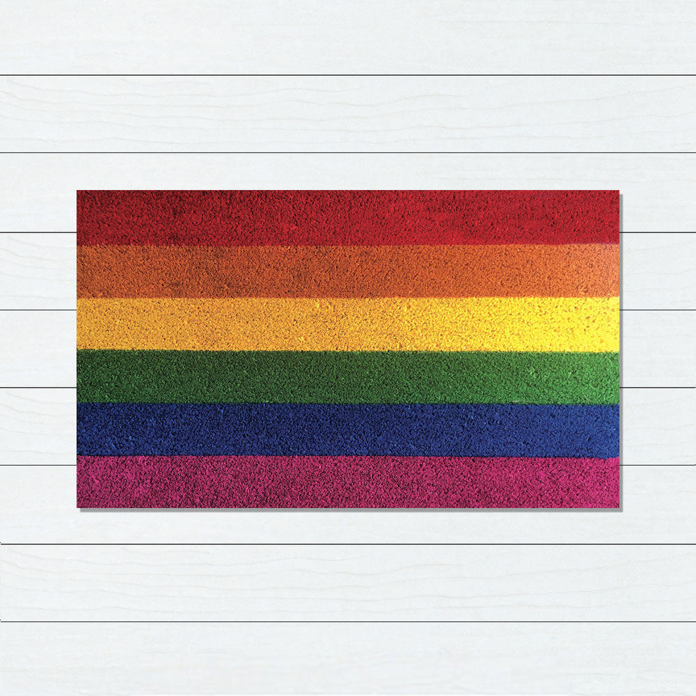 Rainbow PVC Backed Coir Doomat, 45x75cm - Doormats