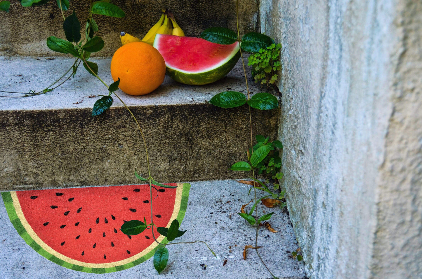 Watermelon PVC Backed Doormat, 45x75cm - Ozark Home