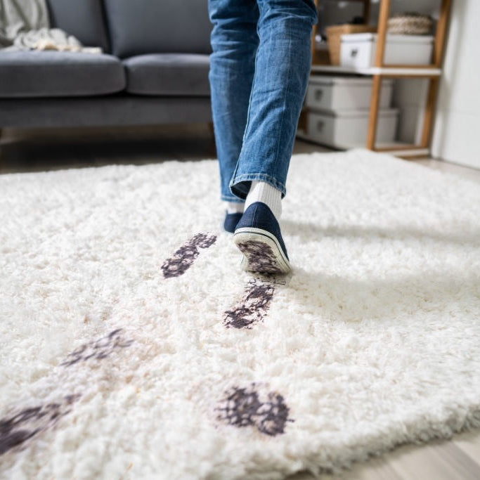 7 Reasons You Need a Doormat At Every Door