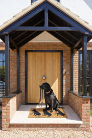 Solemate 3 Dogs PVC-backed coir doormat with 45x75cm size, featuring a dog-themed design for outdoor entryways.