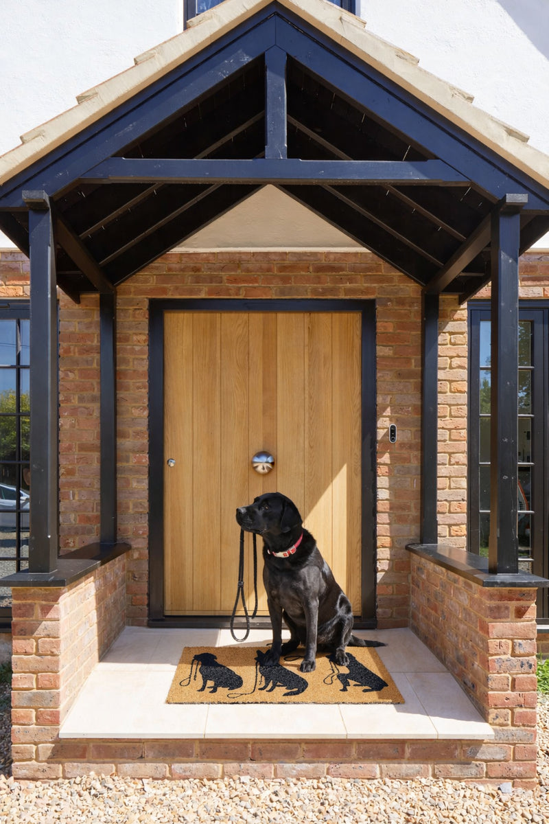 Solemate 3 Dogs PVC-backed coir doormat with 45x75cm size, featuring a dog-themed design for outdoor entryways.