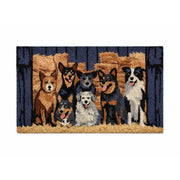 Barn Dogs PVC Backed Coir Doormat, 45x75cm - Doormats.com.au